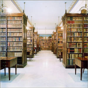 librarystacks.jpg